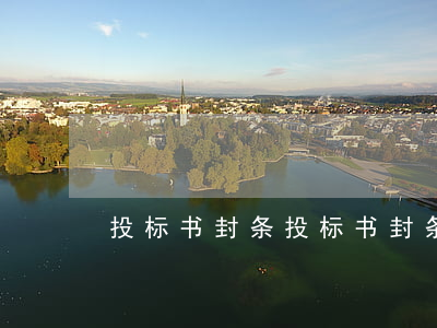 投标书封条(投标书封条怎么封示例)