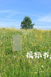 投标书范本(投标书怎么写范文)