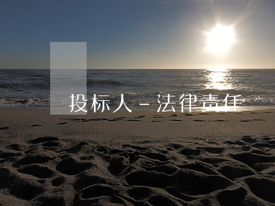 投标人-法律责任