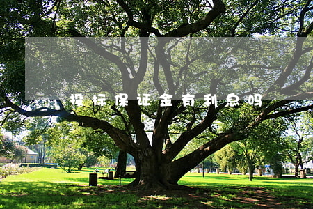 投标保证金有利息吗