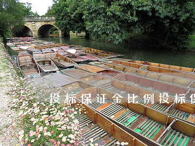 投标保证金比例(投标保证金比例及上限)