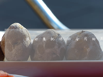 投标委托保证合同的范本是怎样的