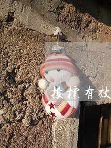 投标有效期是多久