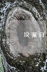 投案自首算肇事逃逸嗎