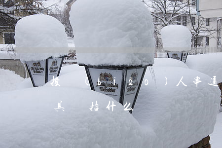 投標(biāo)人串通投標(biāo)具體指什么