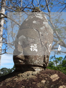投標(biāo)人指的是什么