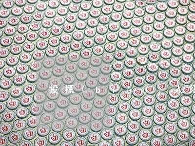投 標(biāo) 人 須 知
