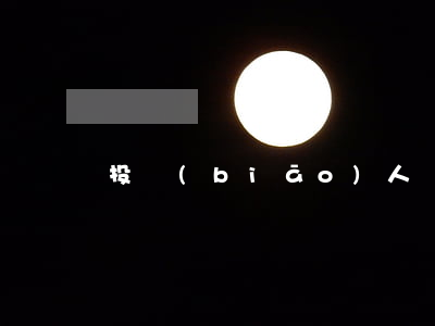 投標(biāo)人須知前附表