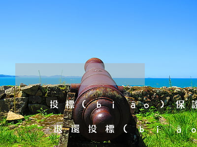 投標(biāo)保證金在什么情況下可以退還,投標(biāo)保證金的退還流程是什么