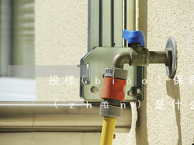 投標(biāo)保證金標(biāo)準(zhǔn)是什么（投標(biāo)保證金的收取比例是多少）