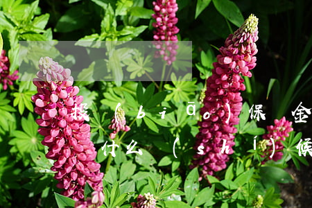 投標(biāo)保證金規(guī)定最遲什么時(shí)候交（投標(biāo)保證金的繳納形式有哪些）