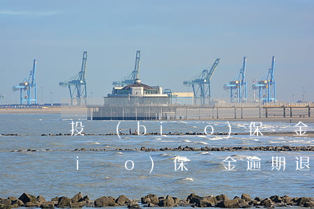 投標(biāo)保證金逾期退還 投標(biāo)保證金逾期退還怎么辦
