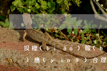 投標(biāo)報(bào)價(jià)應(yīng)合理,具備競(jìng)爭(zhēng)性
