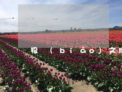 投標(biāo)文件修改或撤回的時間