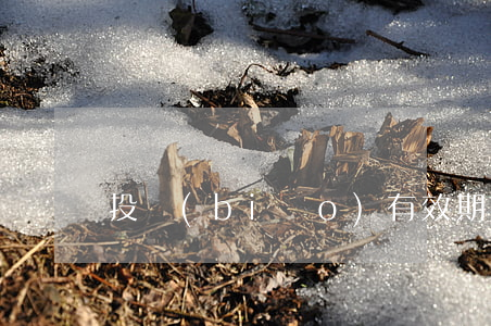 投標(biāo)有效期是怎么樣的