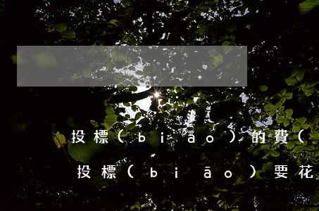 投標(biāo)的費(fèi)用有哪些,投標(biāo)要花多少錢（投標(biāo)的流程是怎樣的）