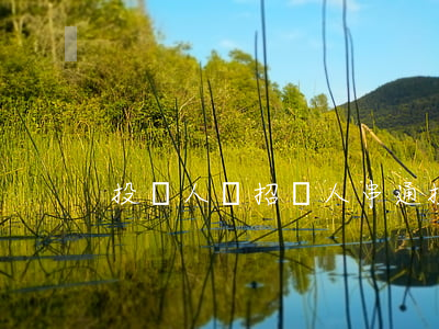 投標人與招標人串通投標的判別標準是什么