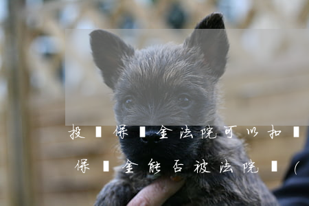 投標保證金法院可以扣劃嗎(質(zhì)押保證金能否被法院執(zhí)行扣劃)