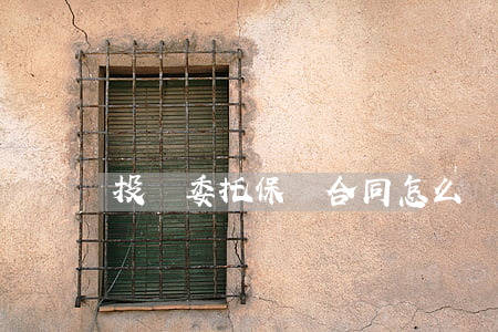 投標委托保證合同怎么寫