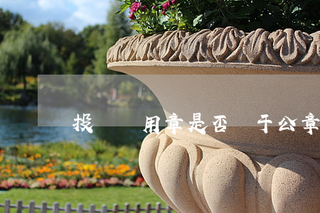 投標專用章是否屬于公章范疇