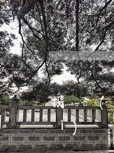 投標聯(lián)合體的法律性質(zhì)