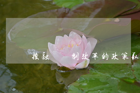投融資體制改革的政策取向