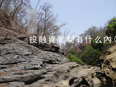 投融資體制有什么內(nèi)容