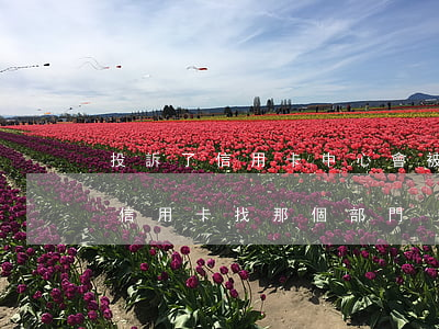 投訴了信用卡中心會被起訴更快嗎-要投訴信用卡找那個部門