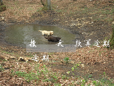 投訴當天還款算逾期(貸款還款日當天還款算逾期嗎)