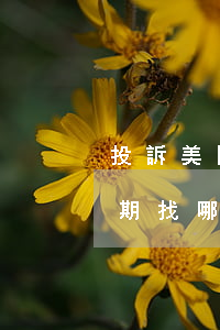 投訴美團(tuán)生活費(fèi)逾期找哪個(gè)部門(mén)-投訴美團(tuán)生活費(fèi)逾期找哪個(gè)部門(mén)解決