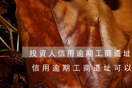 投資人信用逾期工商遷址可以辦嗎-投資人信用逾期工商遷址可以辦嗎
