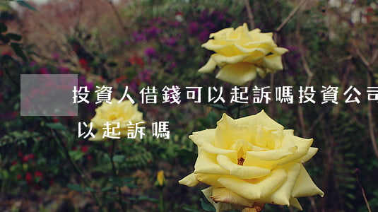 投資人借錢可以起訴嗎(投資公司借錢不還可以起訴嗎)