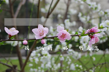 投資人的資格證明是怎樣的