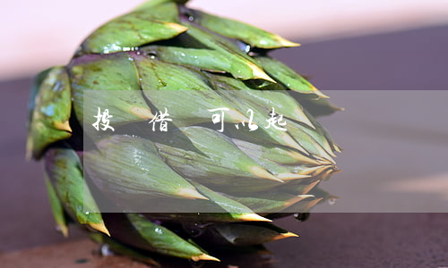 投資借錢可以起訴嗎