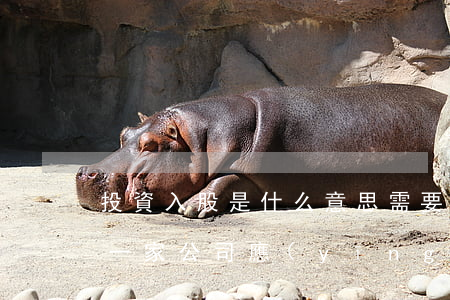 投資入股是什么意思 需要注意什么（投資入股一家公司應(yīng)該注意哪些問(wèn)題）