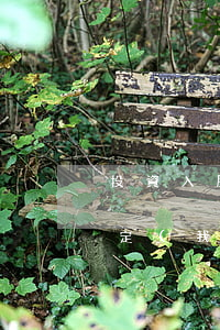 投資入股法律法規(guī)規(guī)定(我國公司法關(guān)于股東出資的法律規(guī)定如何)