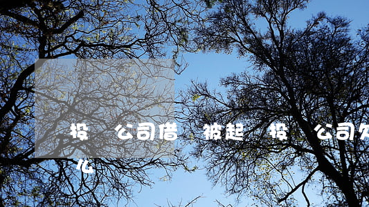 投資公司借錢被起訴(投資公司欠錢不還錢怎么辦)