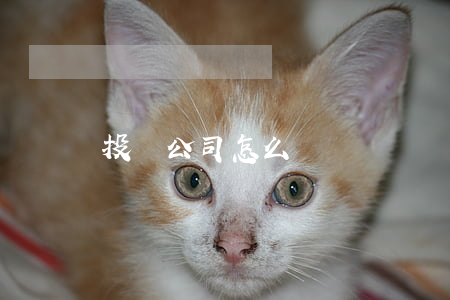 投資公司怎么開