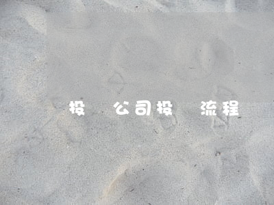 投資公司投資流程
