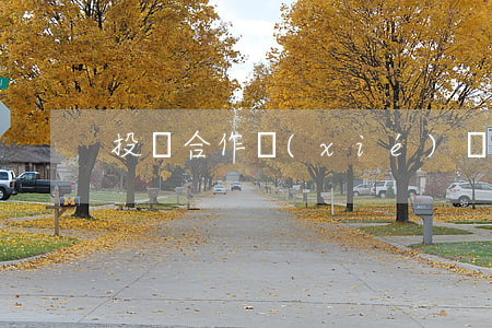 投資合作協(xié)議