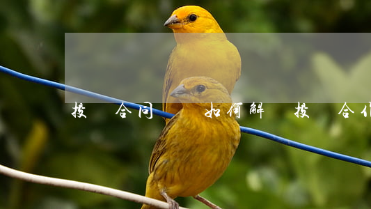 投資合同糾紛如何解決(投資合作糾紛)