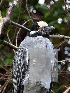 投資型保險(投資型保險值得買嗎)