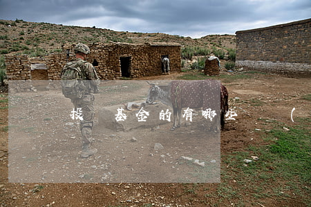 投資基金的有哪些誤區(qū)