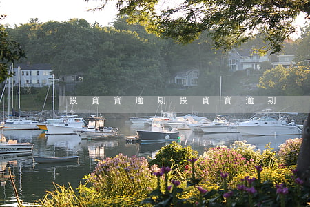 投資寶逾期(投資寶逾期)