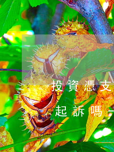 投資憑支付寶轉(zhuǎn)賬記錄可以起訴嗎-投資憑支付寶轉(zhuǎn)賬記錄可以起訴嗎安全嗎