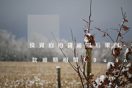 投資拍拍貸逾期后果自-你的拍拍貸公司貸款逾期相關(guān)材料已經(jīng)整