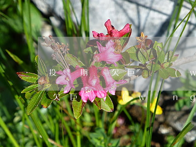 投資期貨欠巨額網(wǎng)貸(投資期貨欠巨額網(wǎng)貸)
