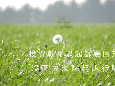 投資款可以起訴要回來(lái)嗎?(投資錢沒了去法院起訴行嗎)
