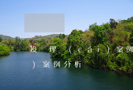 投資理財(cái)案例(投資理財(cái)案例分析題)