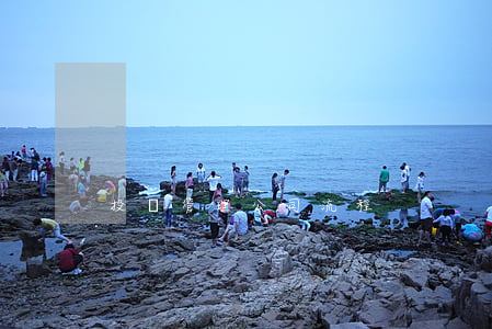 投資管理公司流程